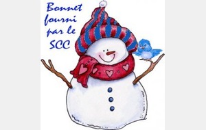 Samedi 28 et Dimanche 29 Janvier